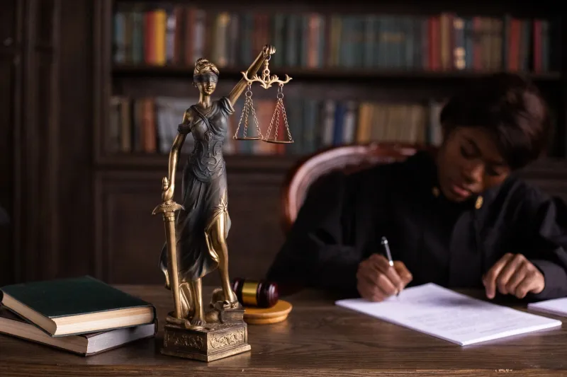 Counsel for the Constitution: The Women Lawyers Who Are Building Democracy's Legal Firewall Against Election Denial